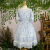 Blue Meadow Dress