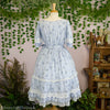 Blue Meadow Dress